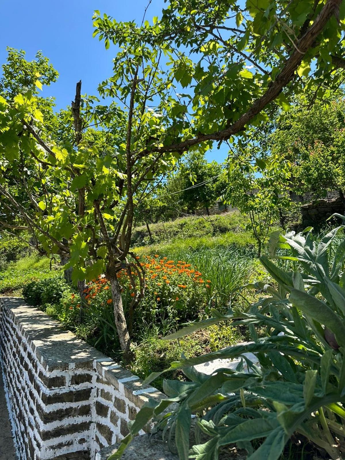 Spring Village Home