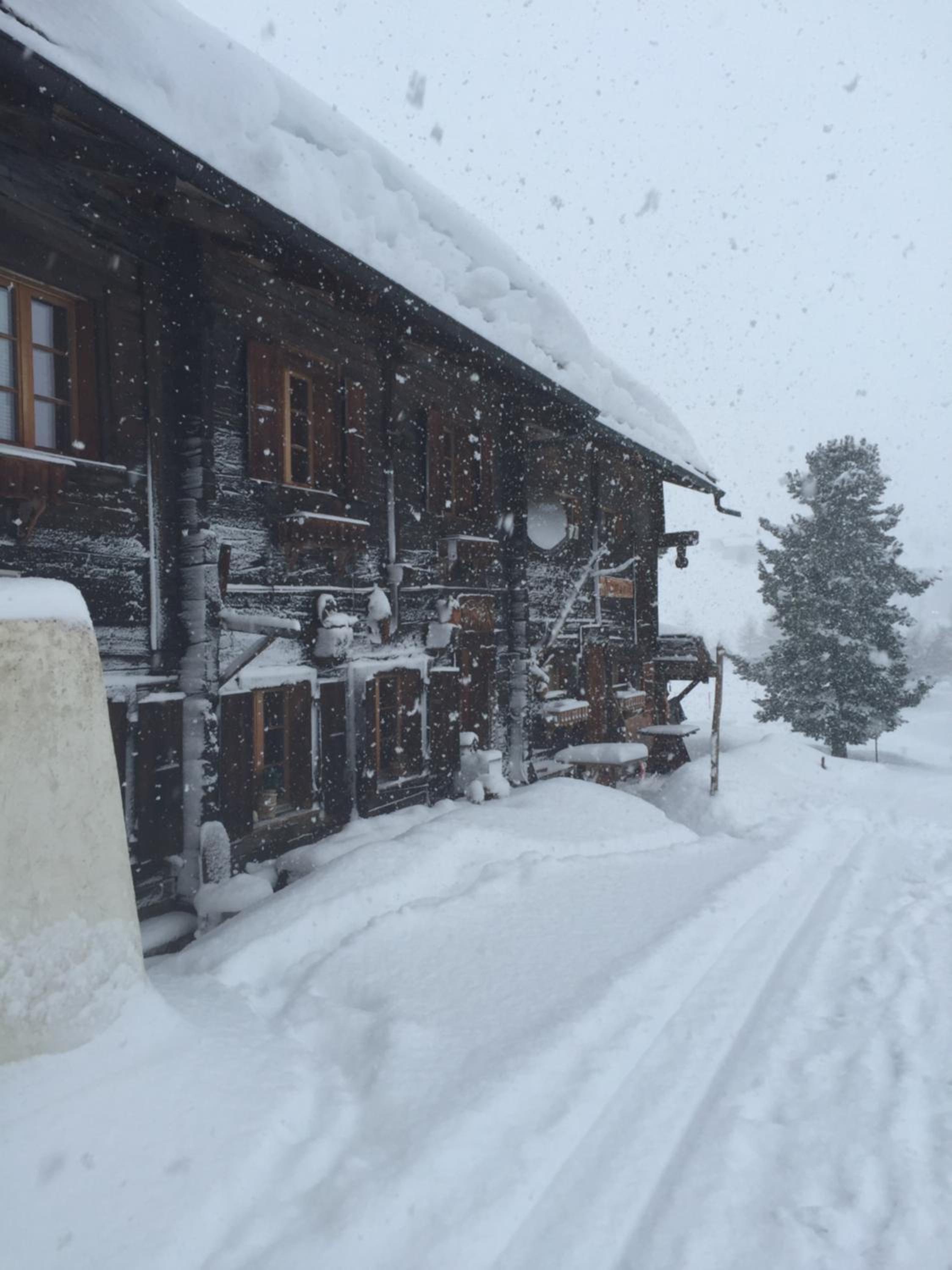Alpenperle