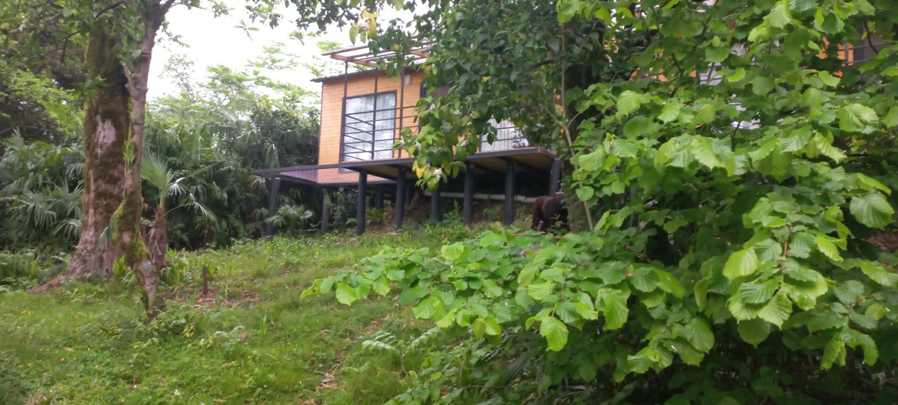Kottage anania