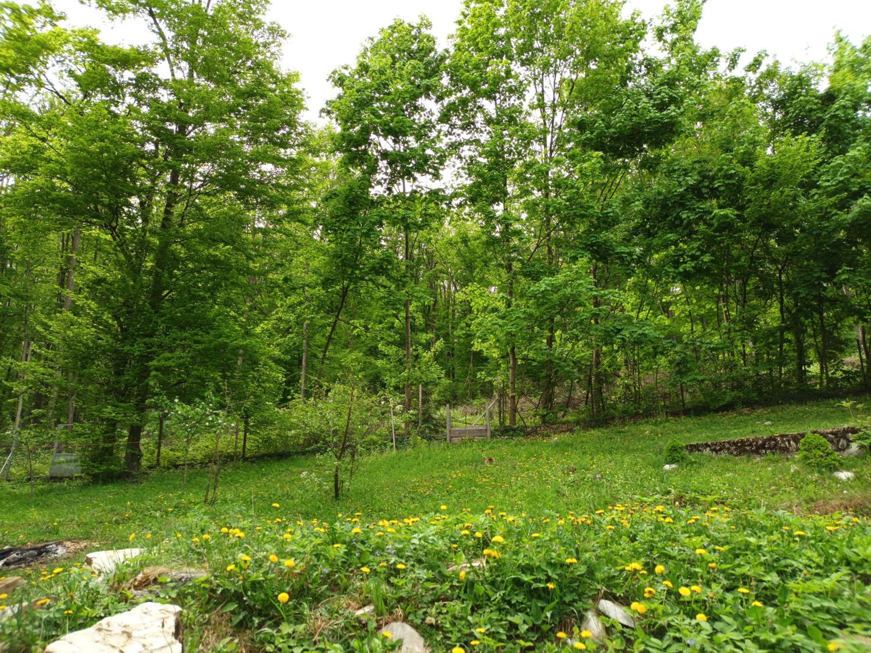 Photo 22