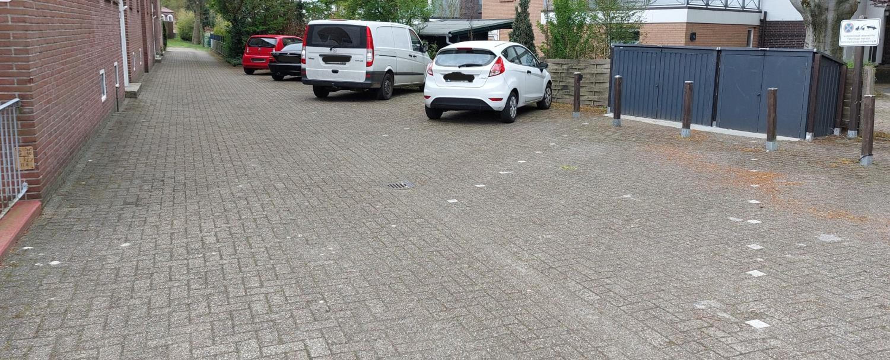 Alpakablick Bad Zwischenahn