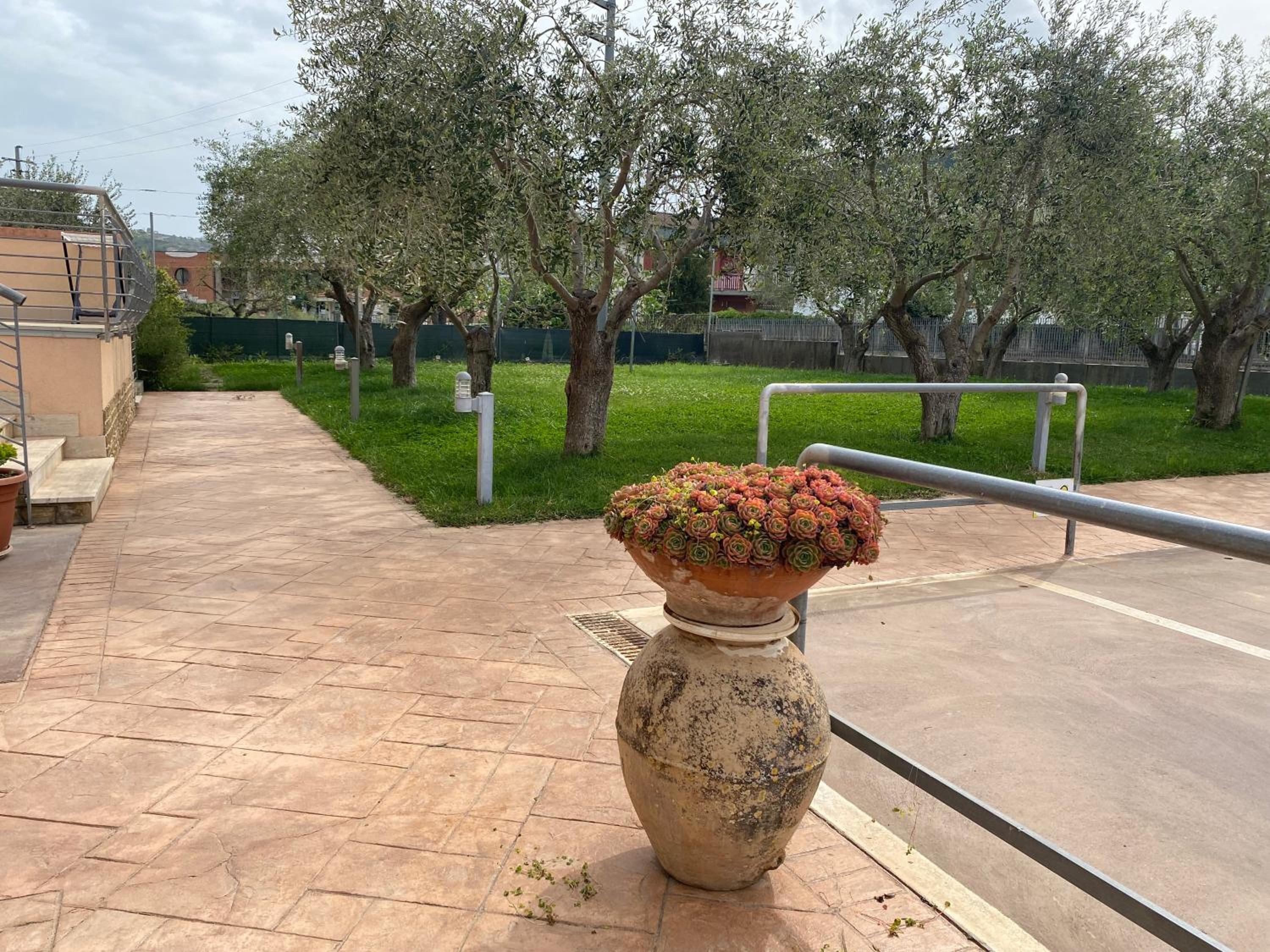Miro' Agropoli