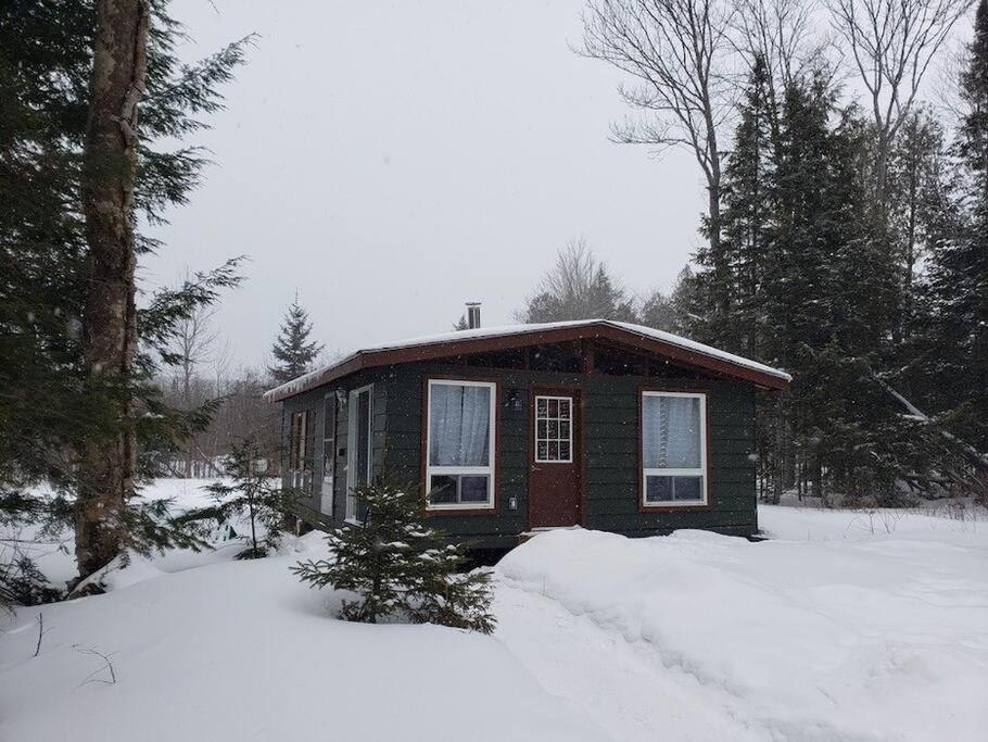 Lakefront Cottage in Muskoka