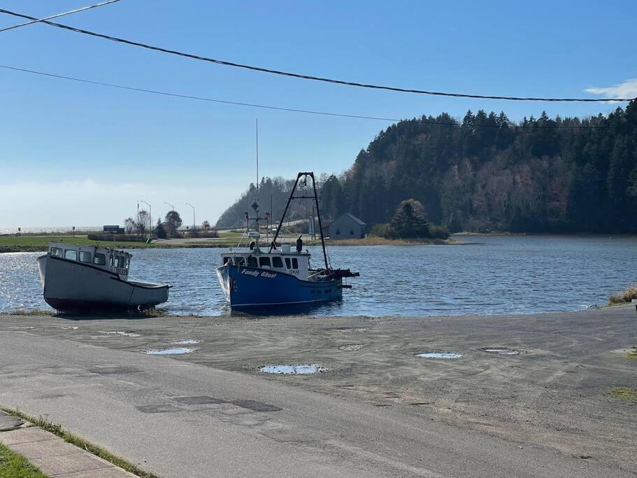 Finn's Studio, Fundy Park