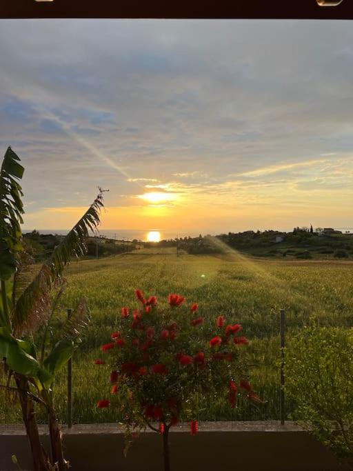 Sunset Luxury Potidea