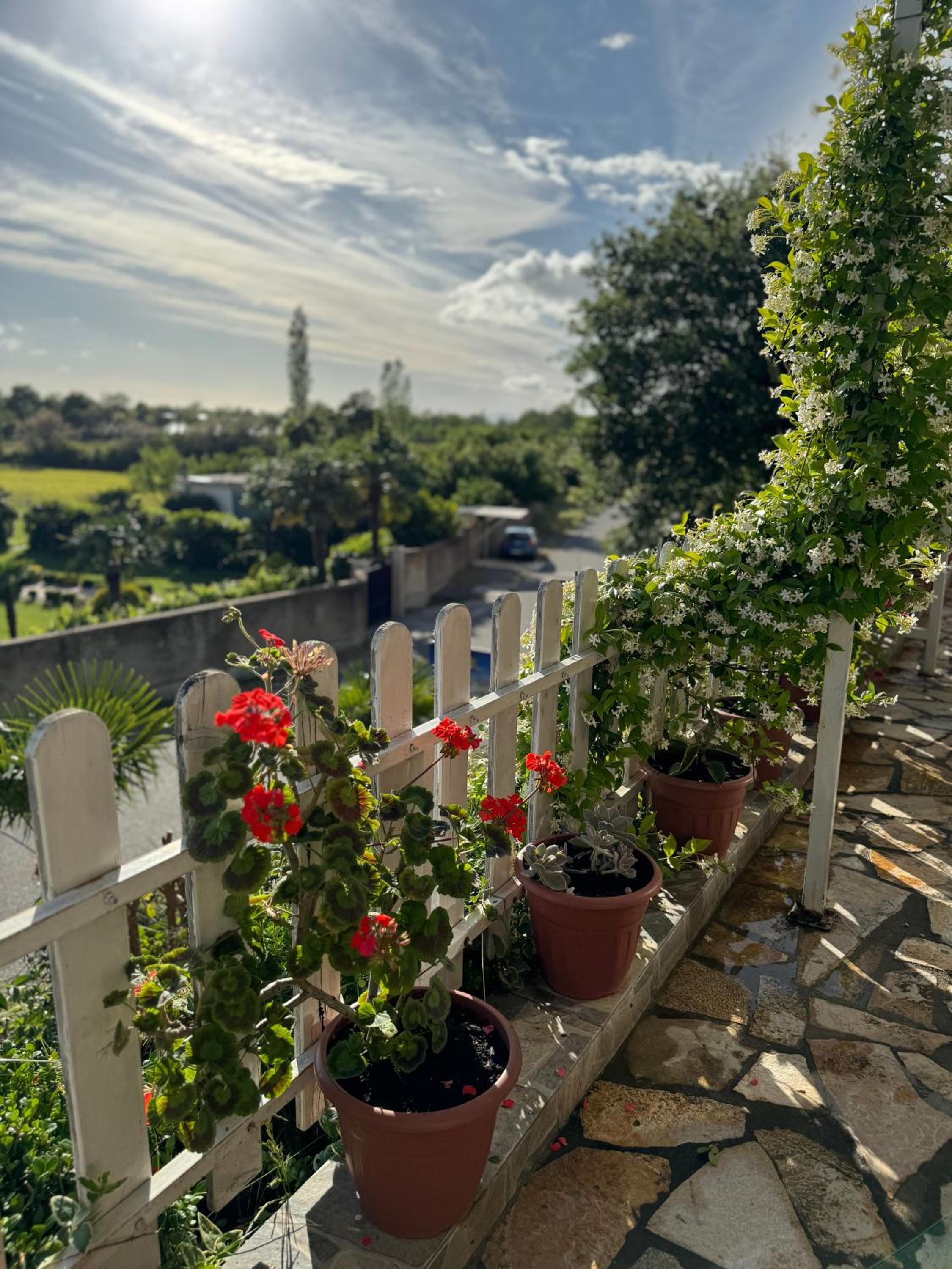 Vila Horizont