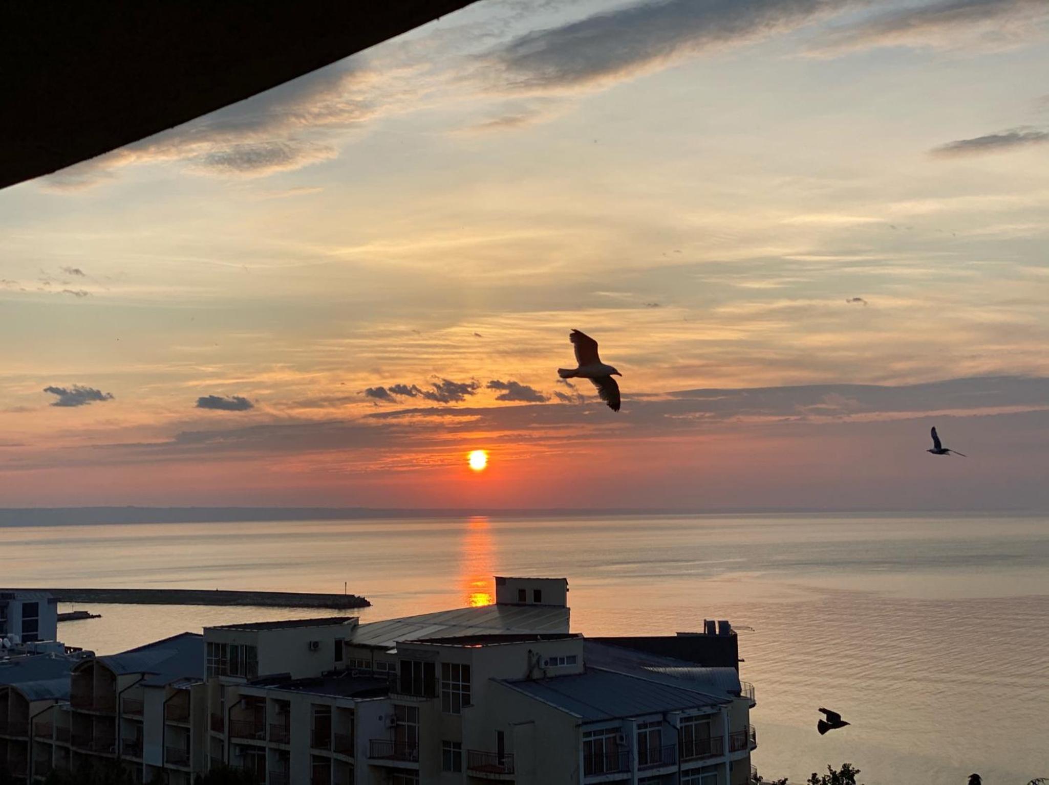 Spacious seaview apartments, 100m to the beach