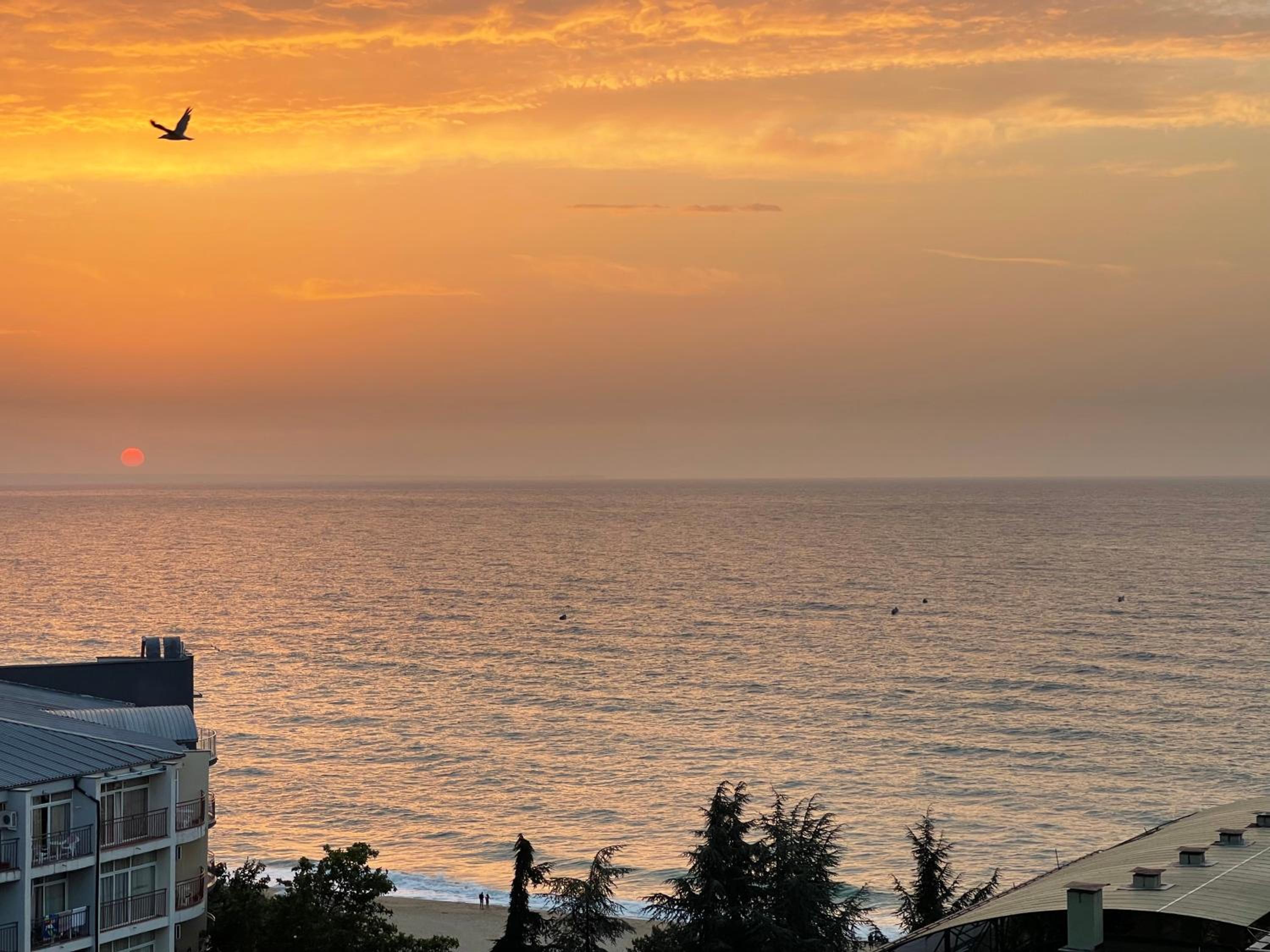 Spacious seaview apartments, 100m to the beach