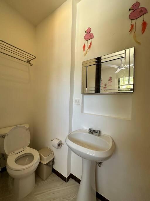 Photo 24