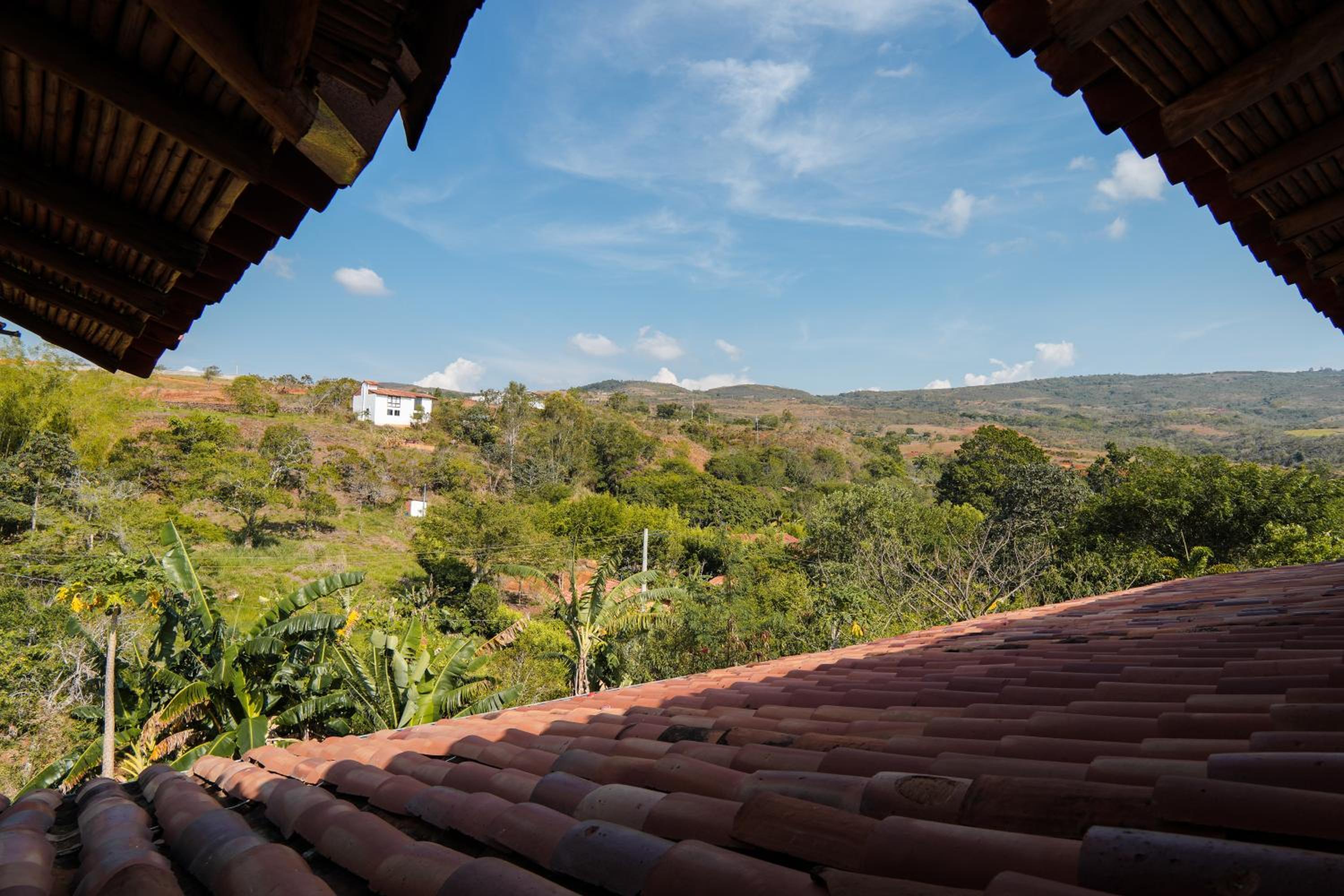 Casa Primitivo