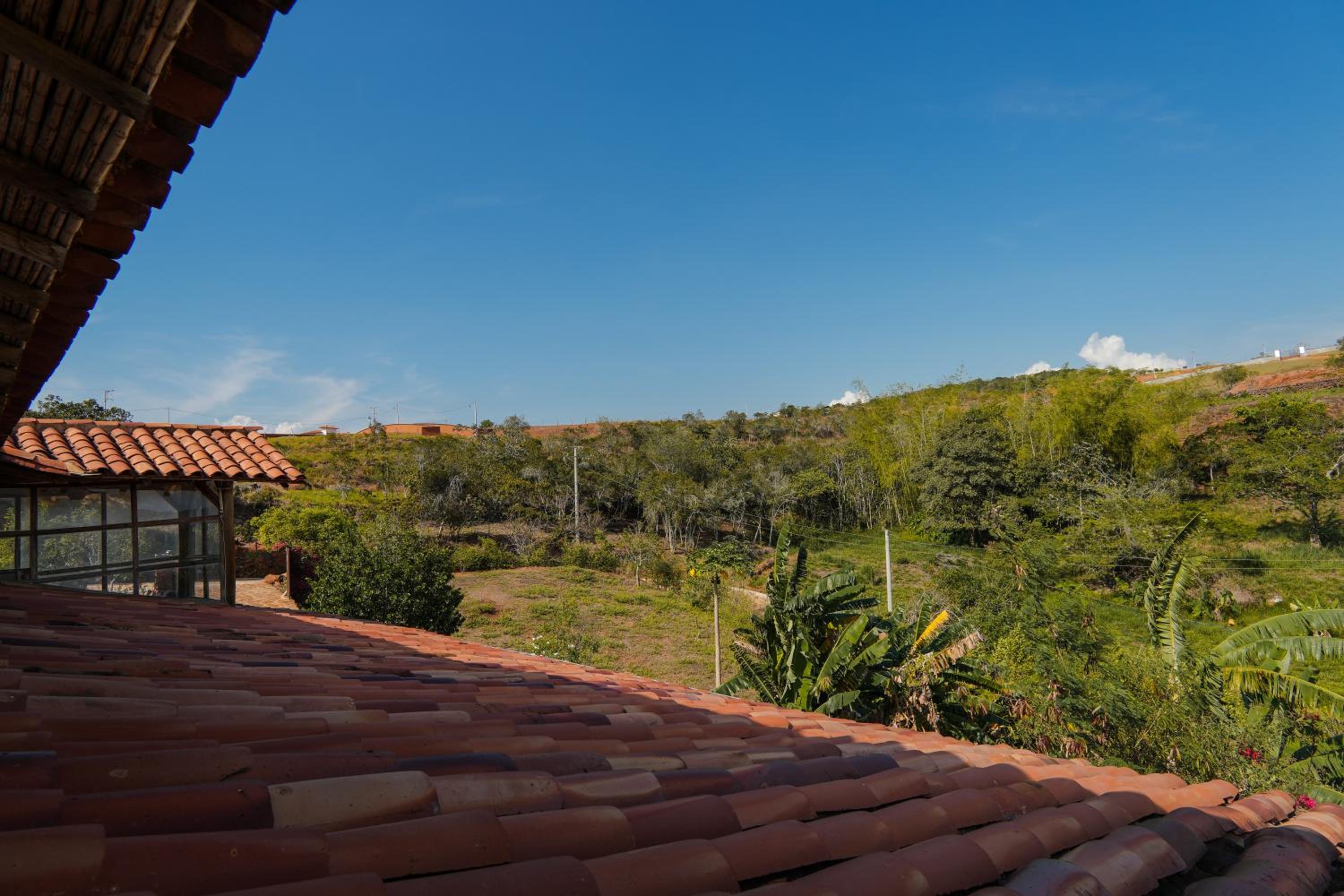 Casa Primitivo