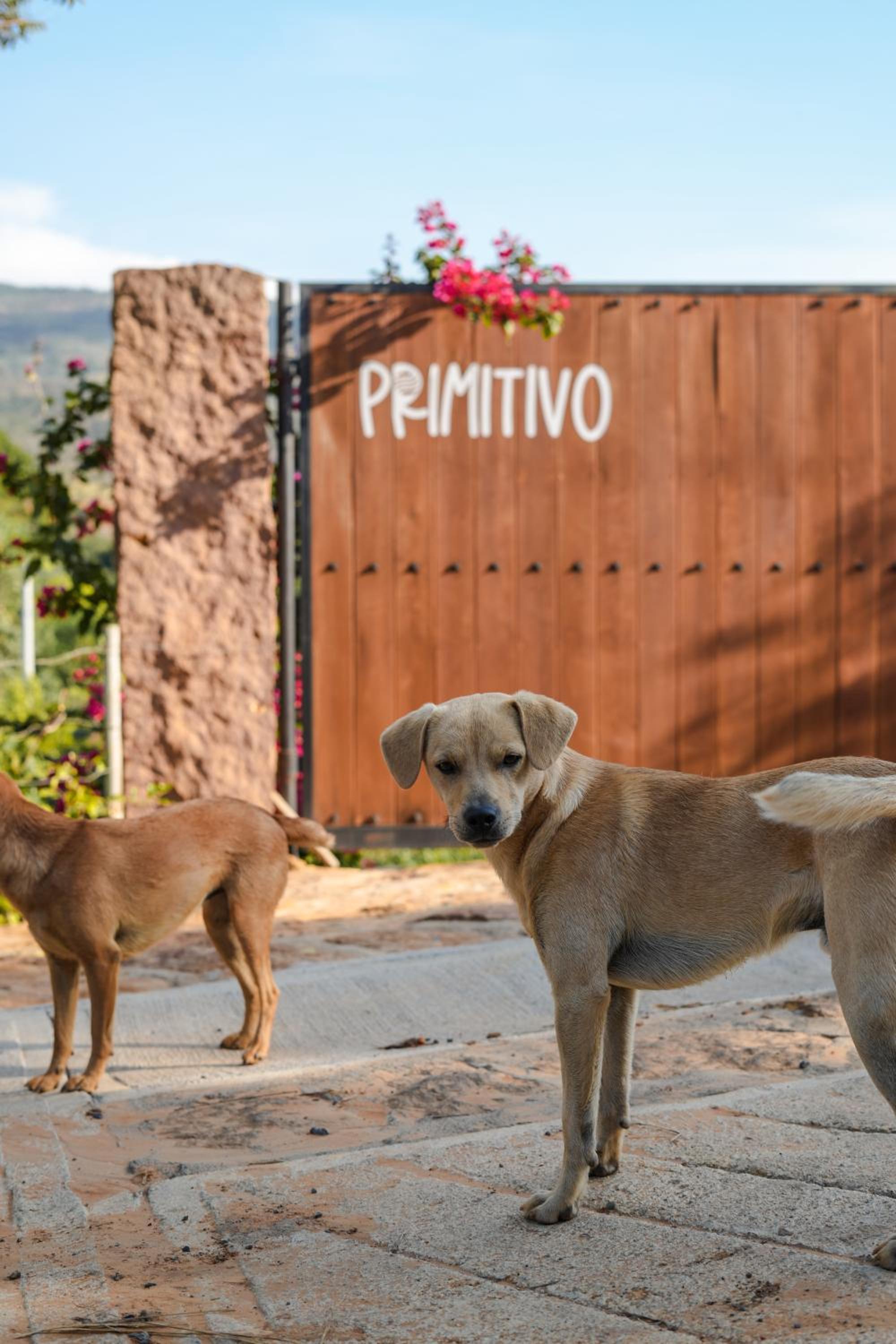 Casa Primitivo