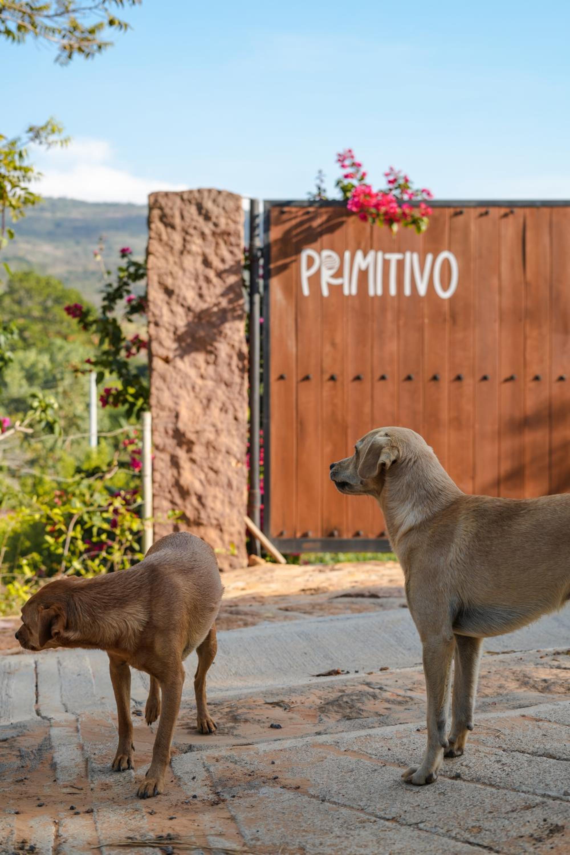 Casa Primitivo