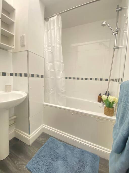 Spacious studio, 5 mins to Victoria station, Central London