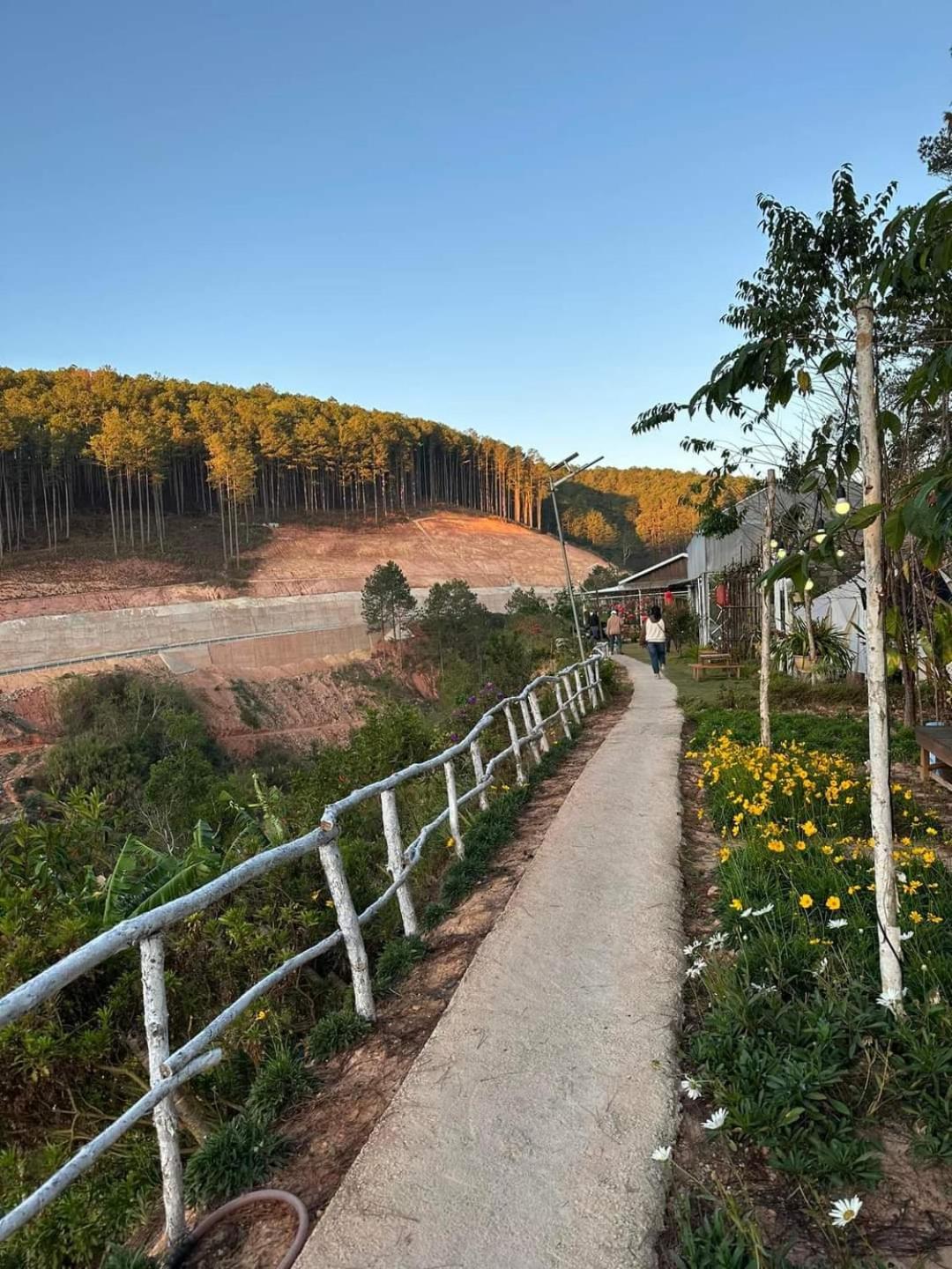Amikaje Farm view 5