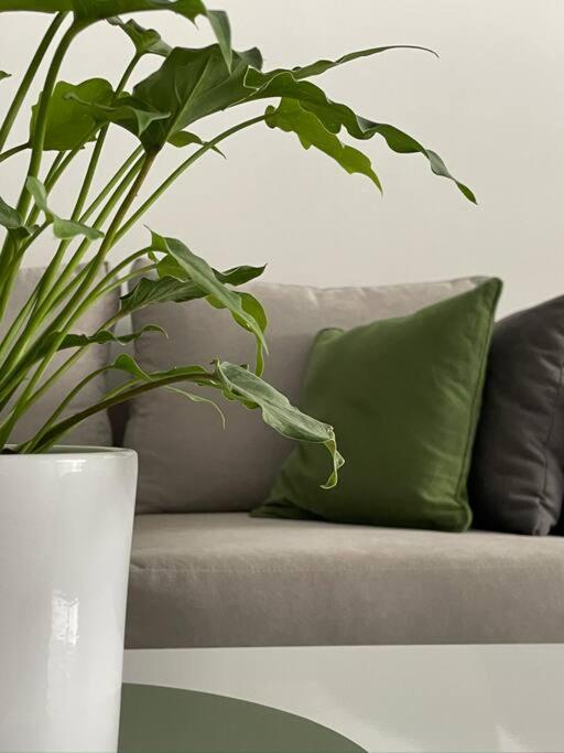 Studio en Palermo con jardín privado y parrilla