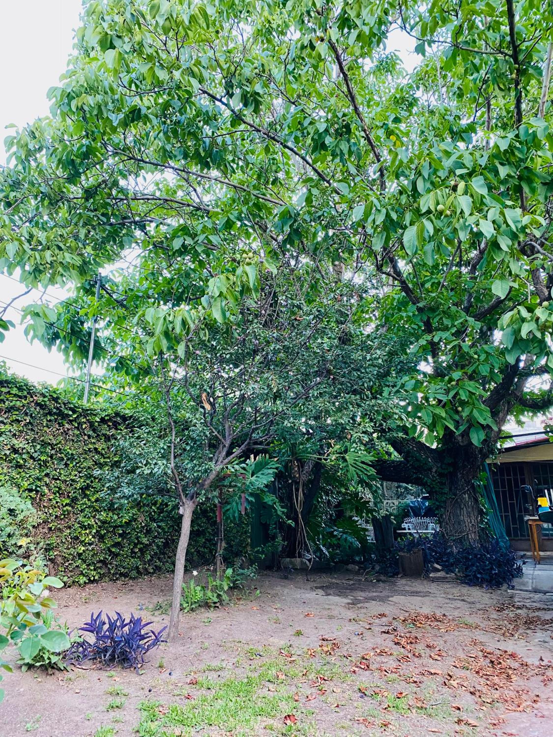 La Casita de la Villa