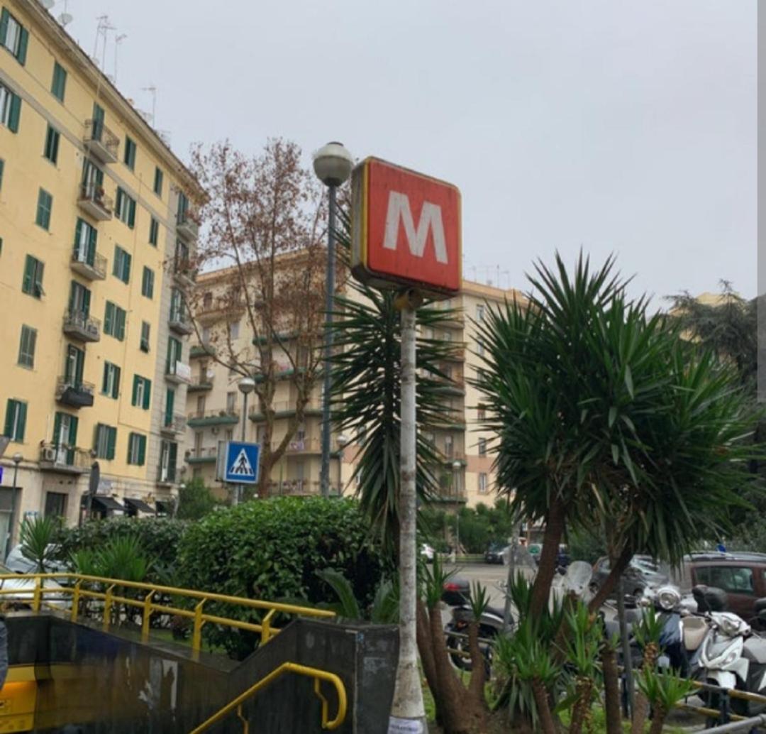 Suite Suarez photo 3