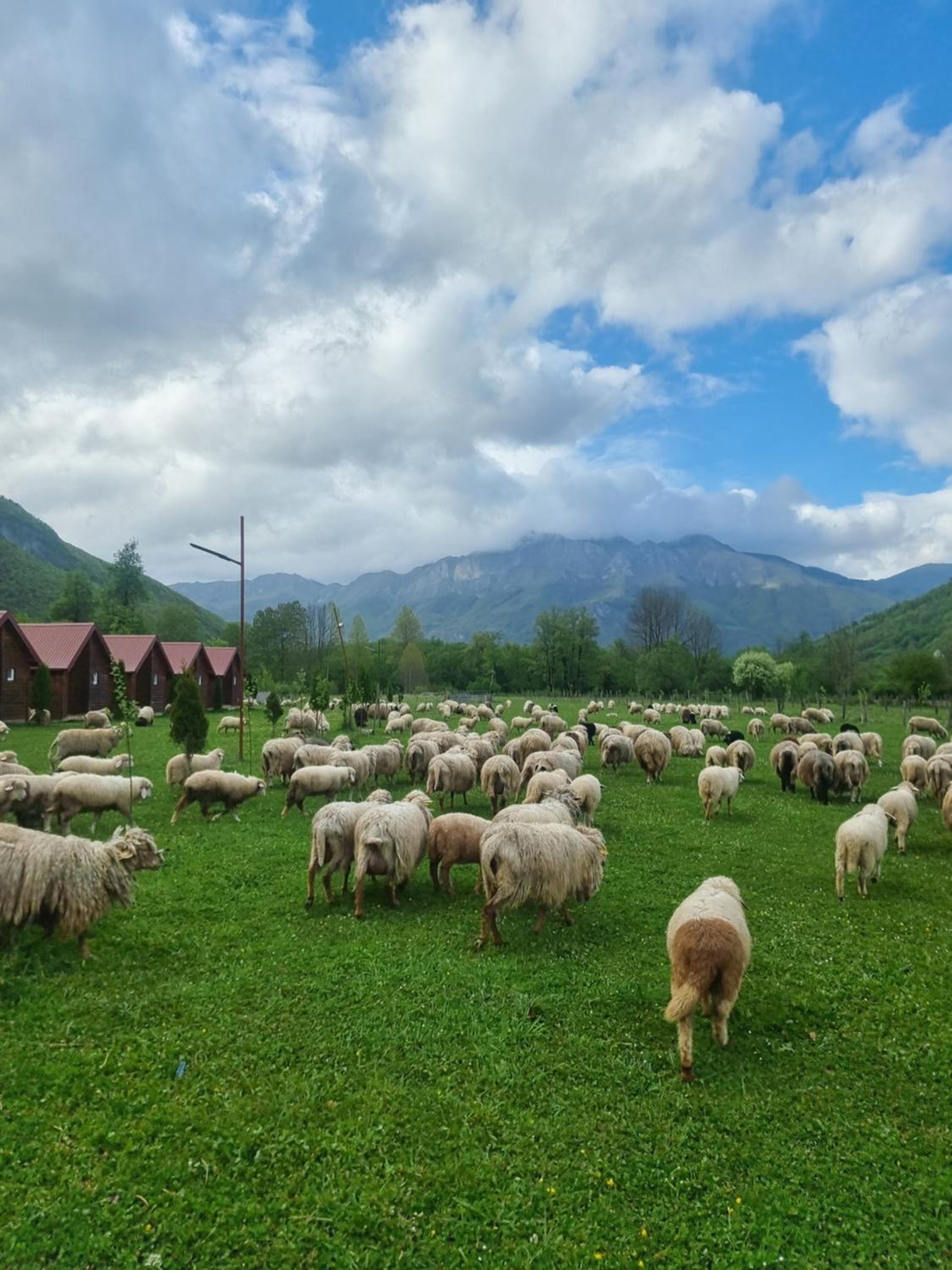 Ethno Katun ROSSI Agrotourism