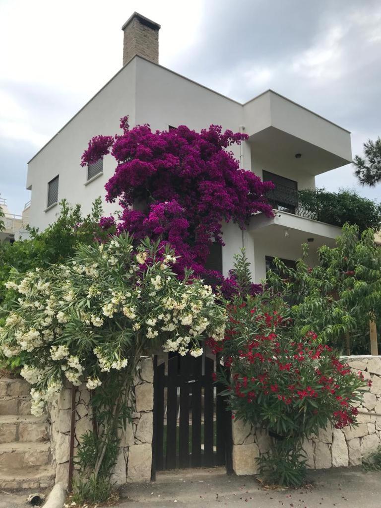 Tatil Evi KARABURUN view 2