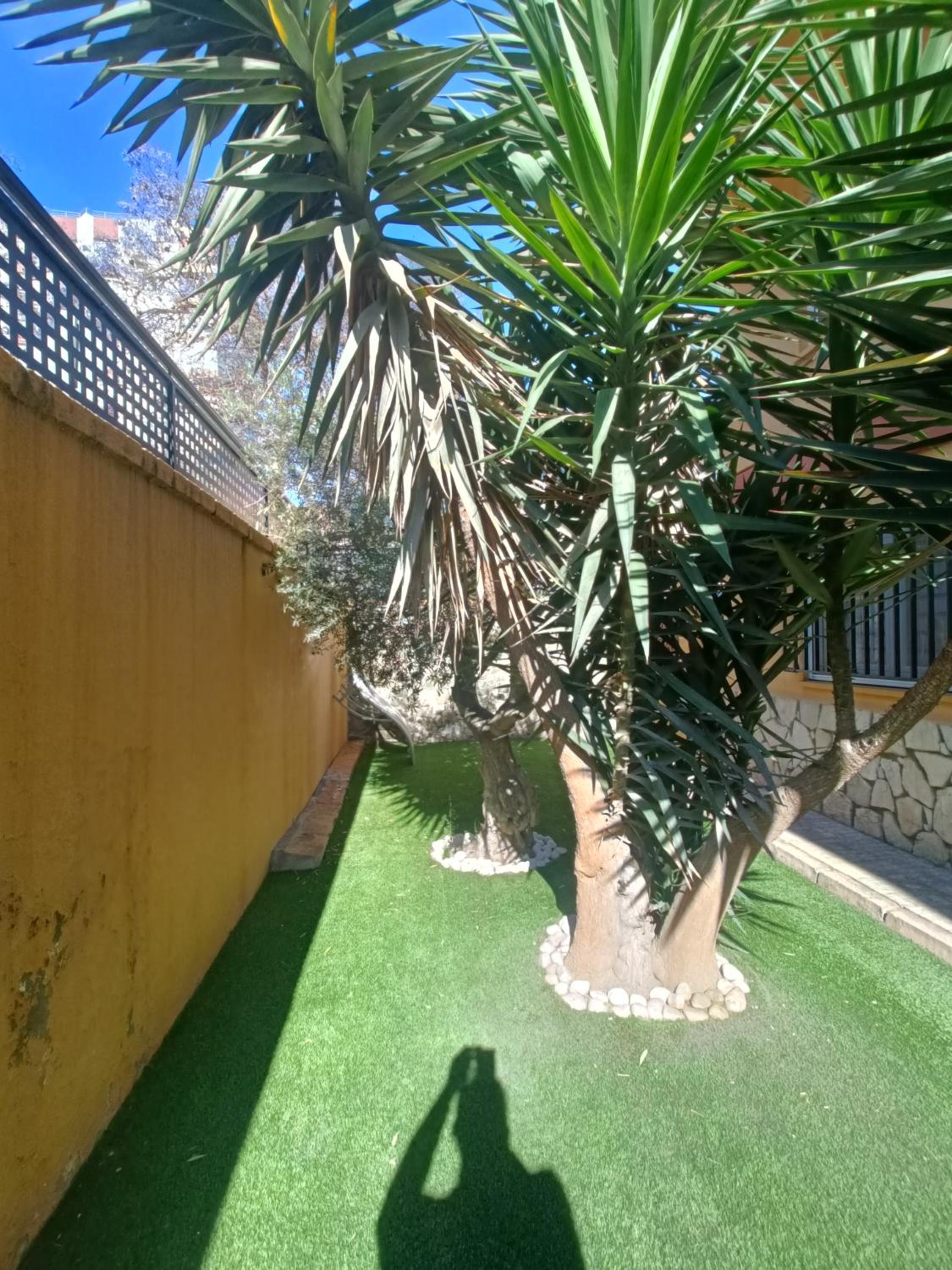 BEACH&GARDEN