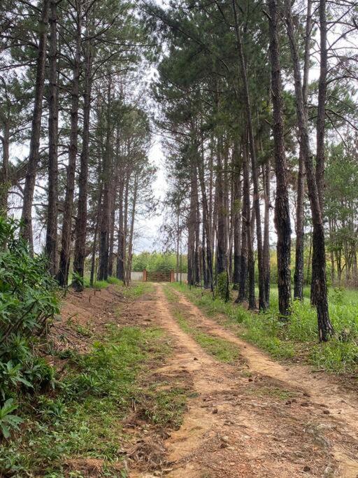 Lindo Sítio c Natureza e Tranquilidade