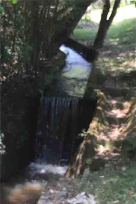 Lindo Sítio c Natureza e Tranquilidade
