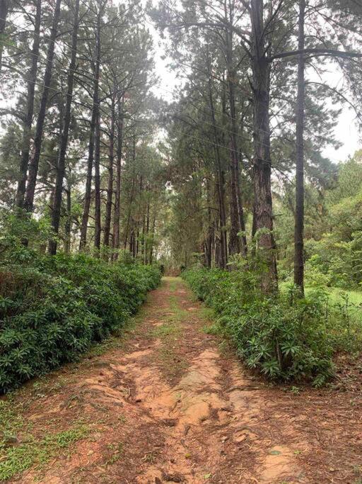 Lindo Sítio c Natureza e Tranquilidade
