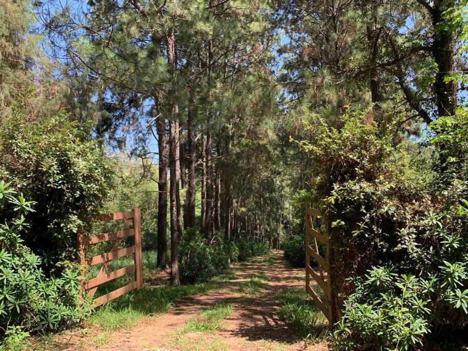 Lindo Sítio c Natureza e Tranquilidade