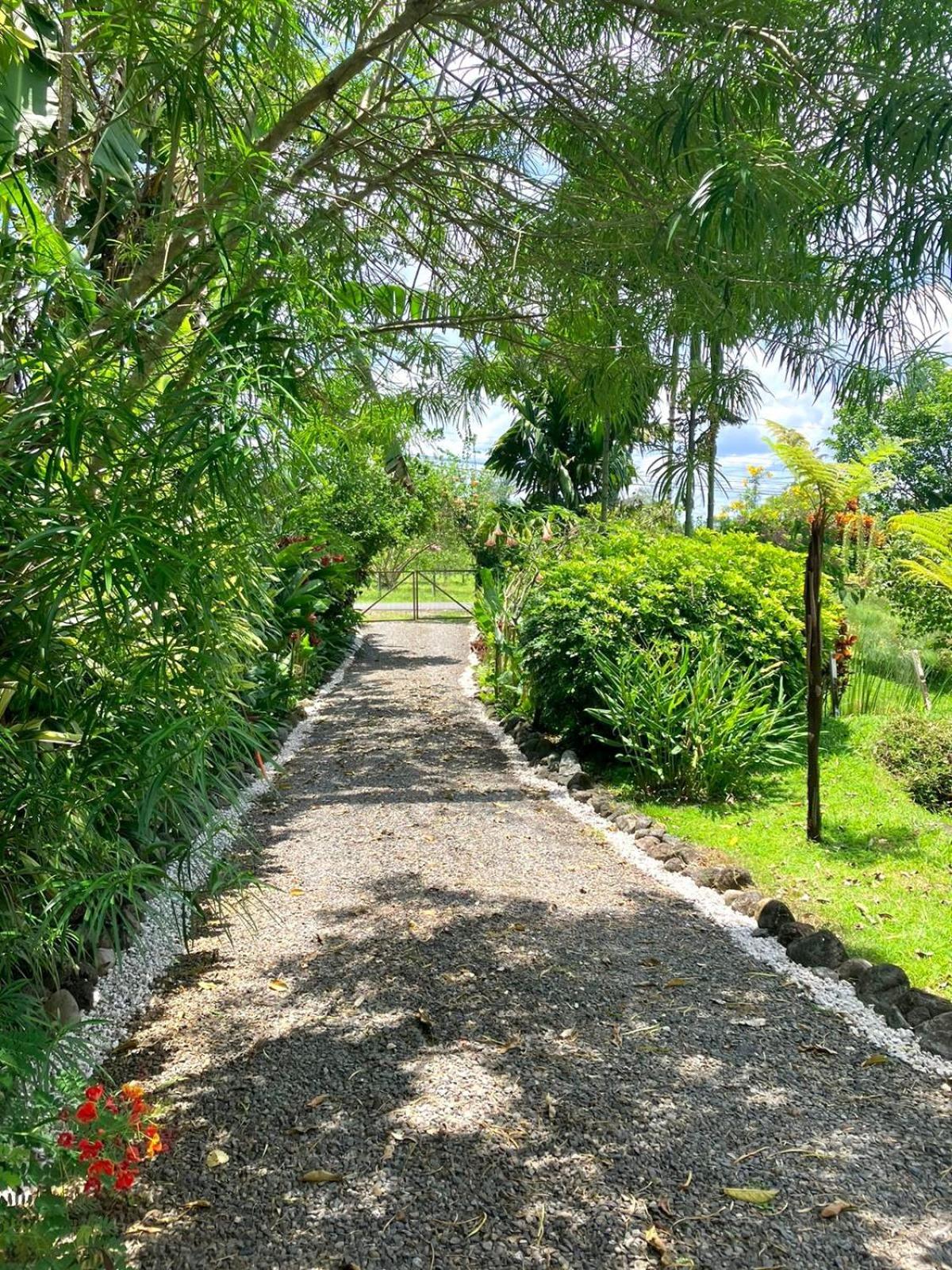 Casa Yami Lodge
