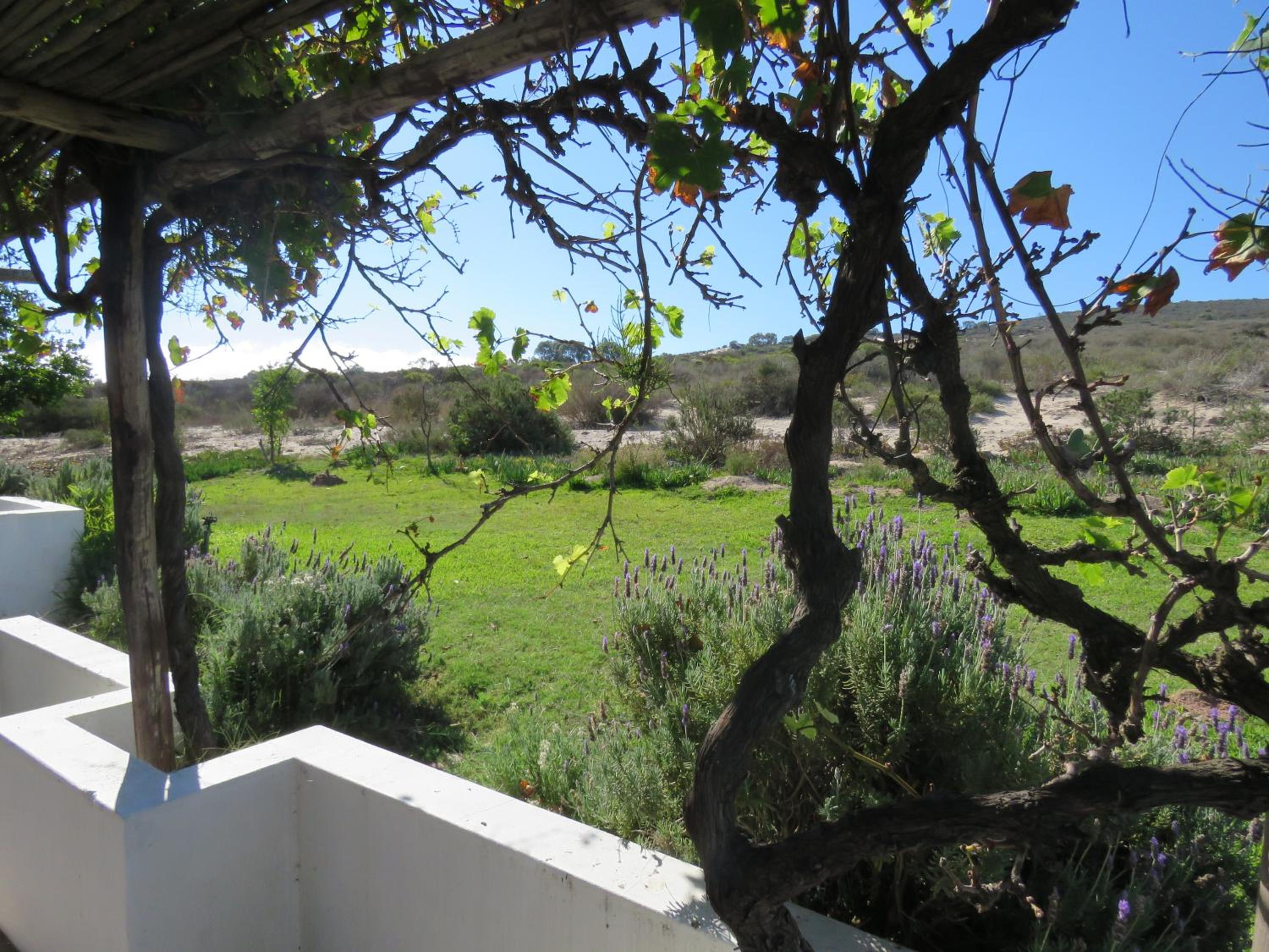 Photo 48