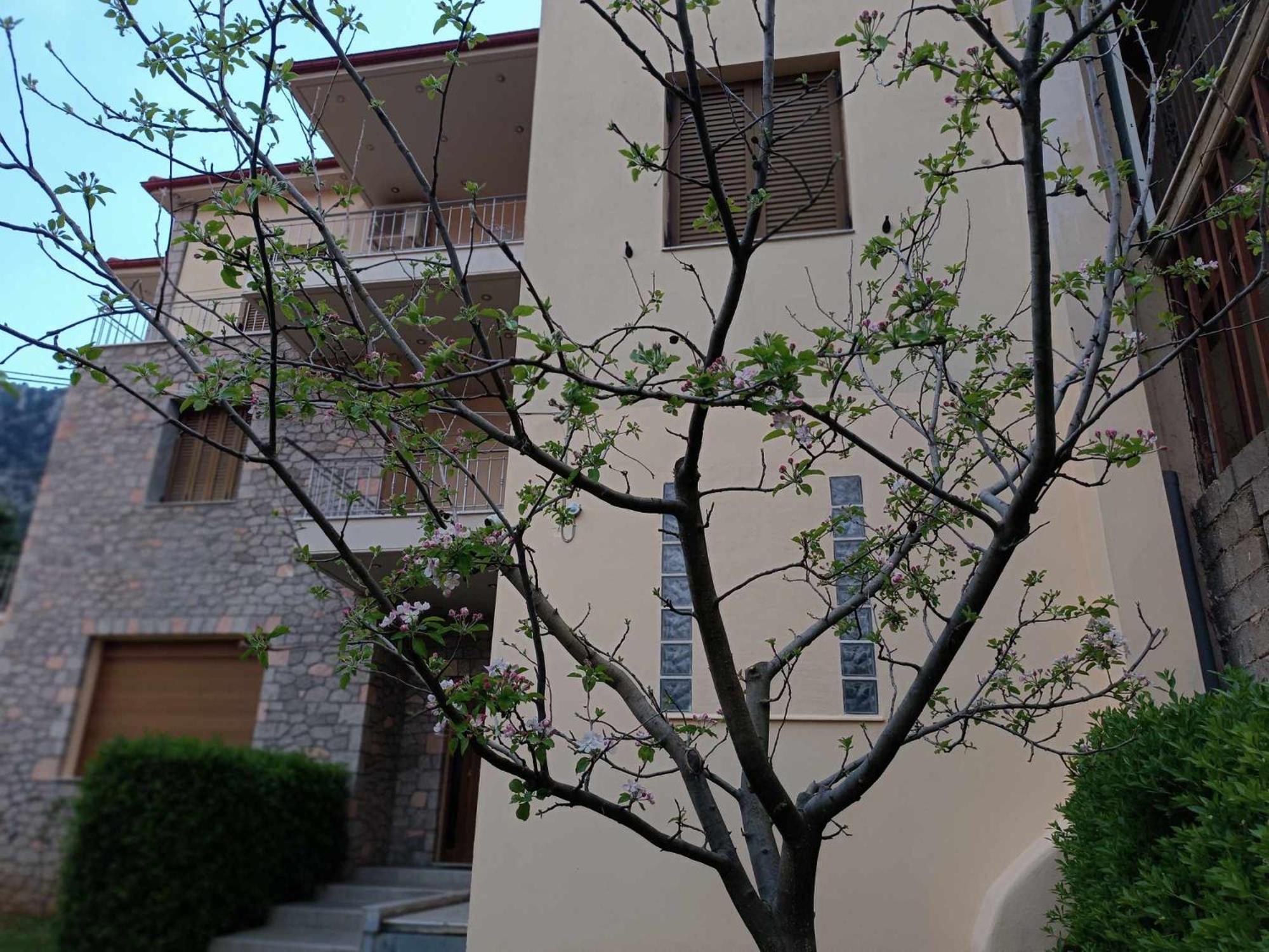 Gravia's Villa view 4