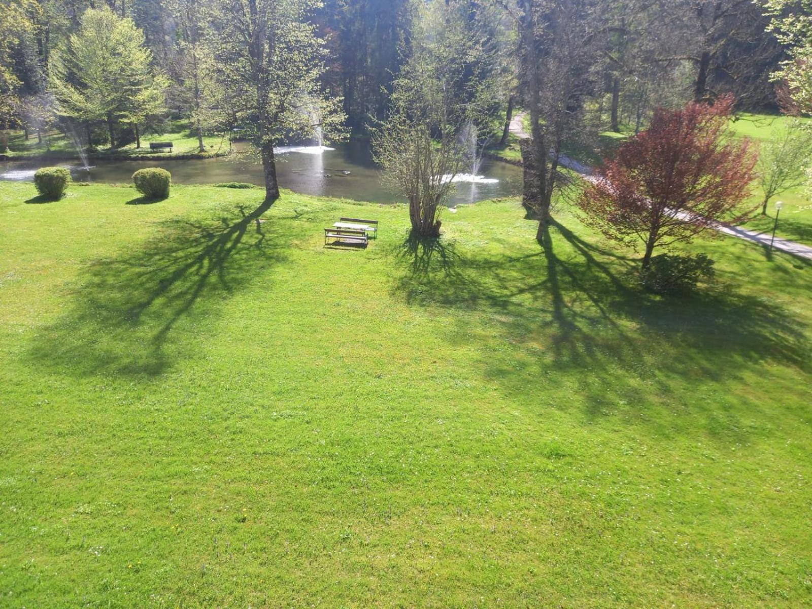 Grubhof Treetops