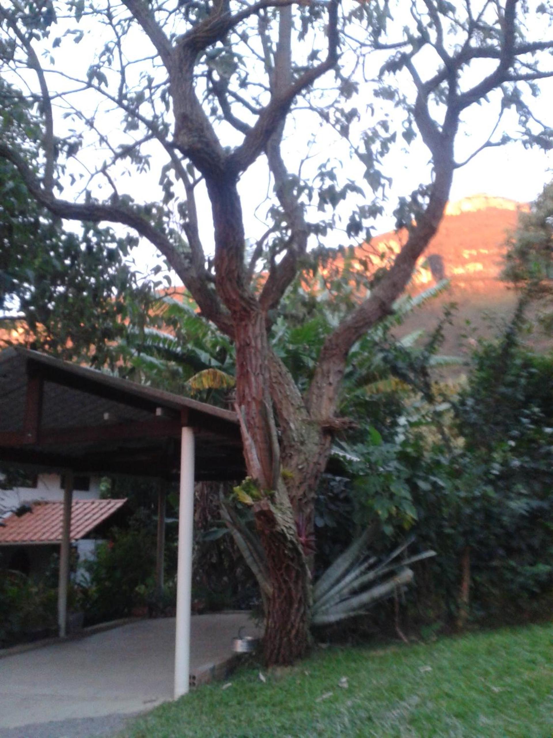 Casa do Bosque