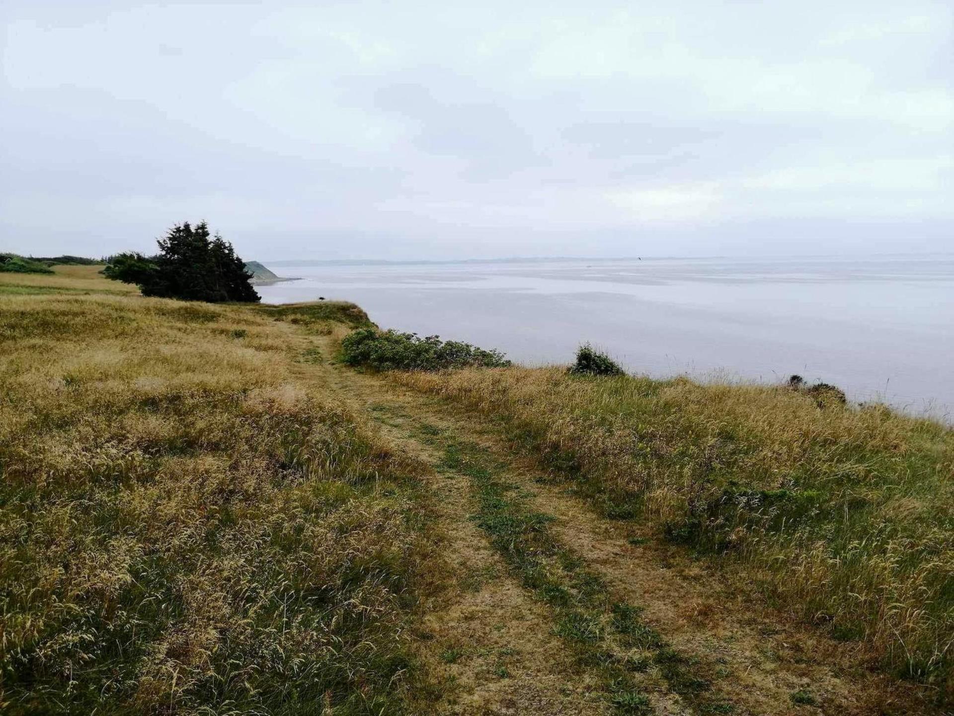 Kongshøjgaard