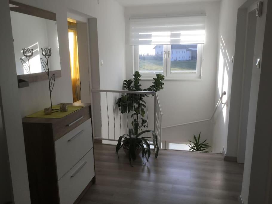 Haus im Grünen