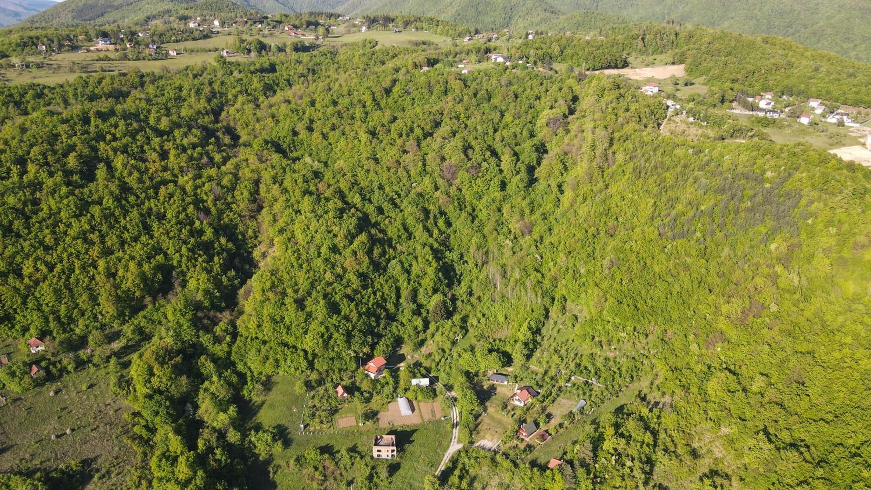 Villa Lux Nature