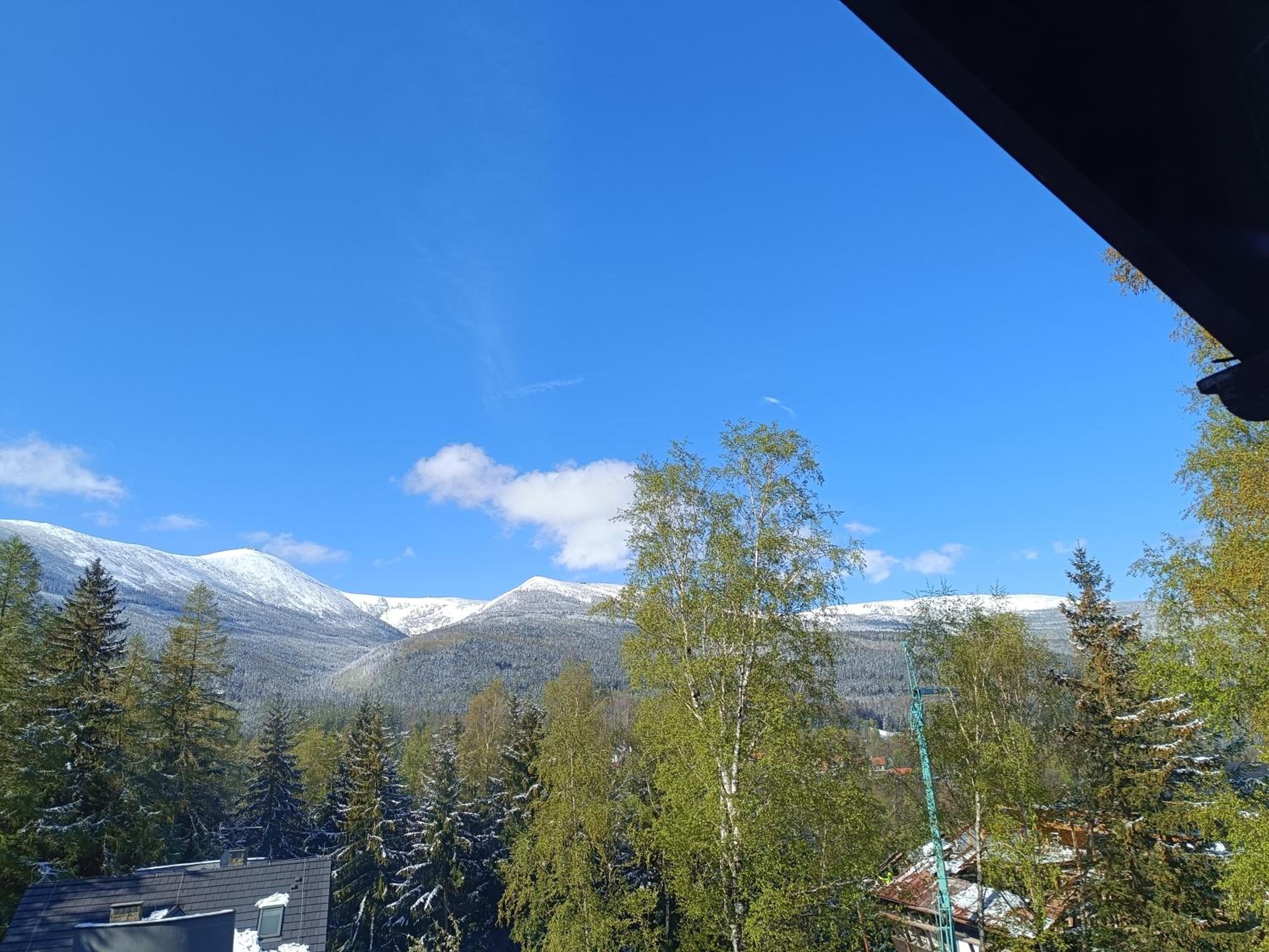 Willa Alaska view 2
