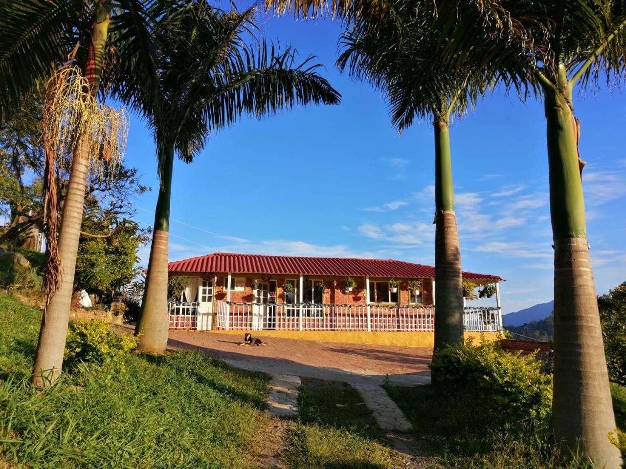 GLAMPING ASTRODOME EN PACHO