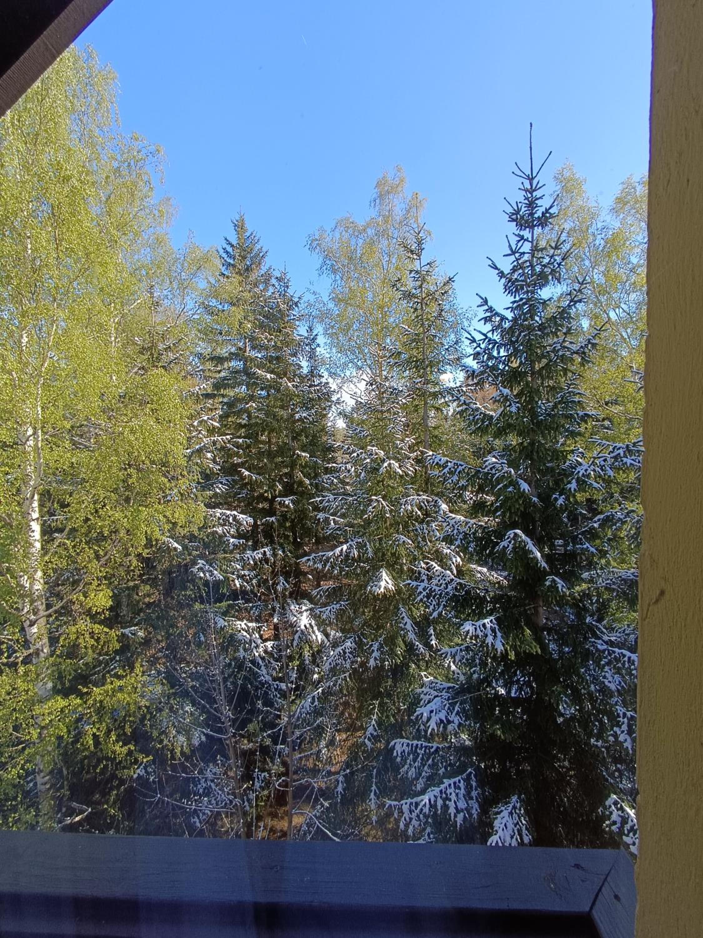 Photo 36