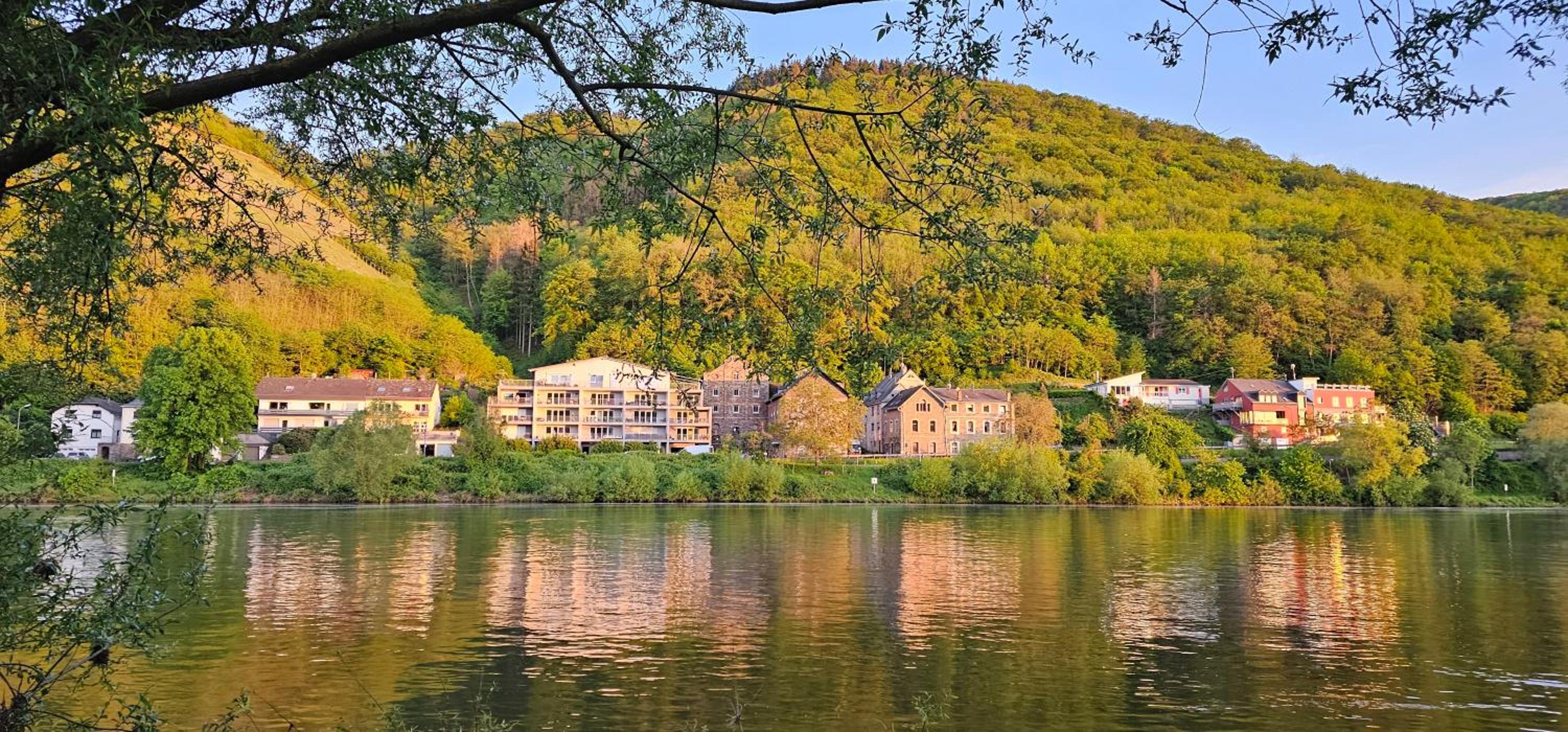 Elegant Apartment with Direct River View, Balcony and Parking in Bernkastel-Kues
