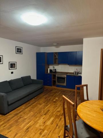 Vitkova Duplex apartment with terrace near Florenc