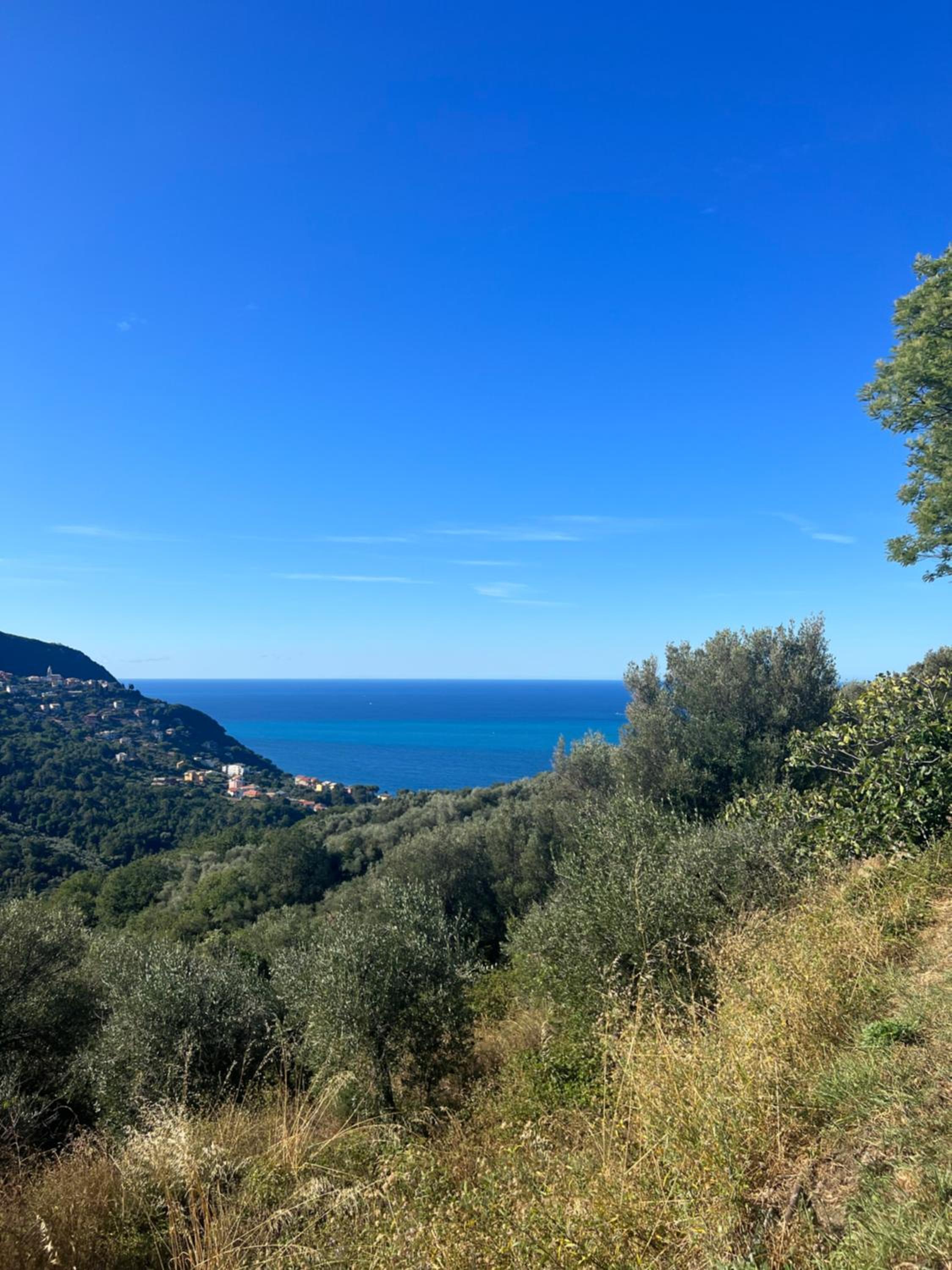 Olivetta House Holiday view 2