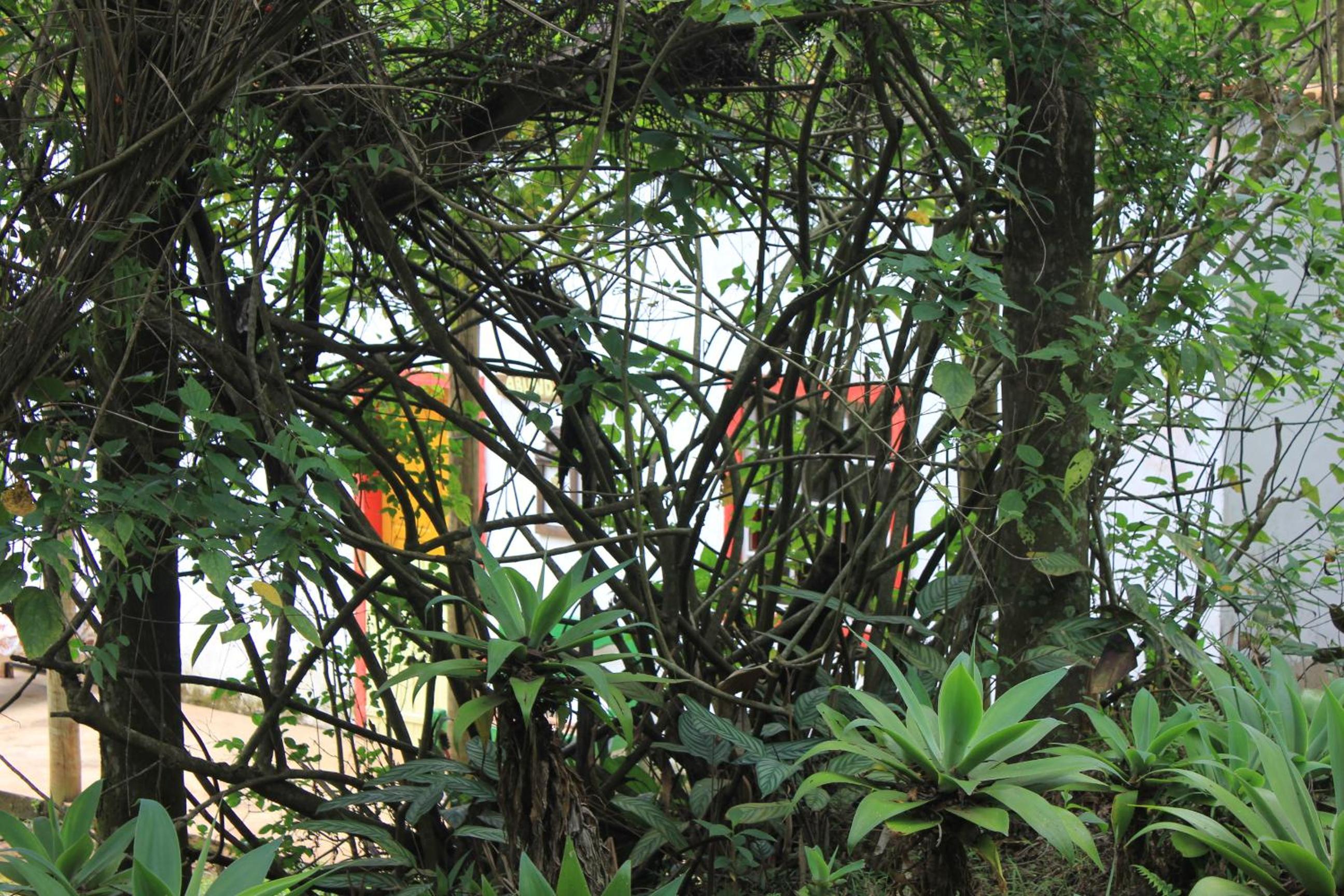 Chalé na floresta com frigobar