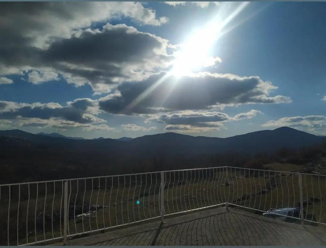 Oaza mira photo 2