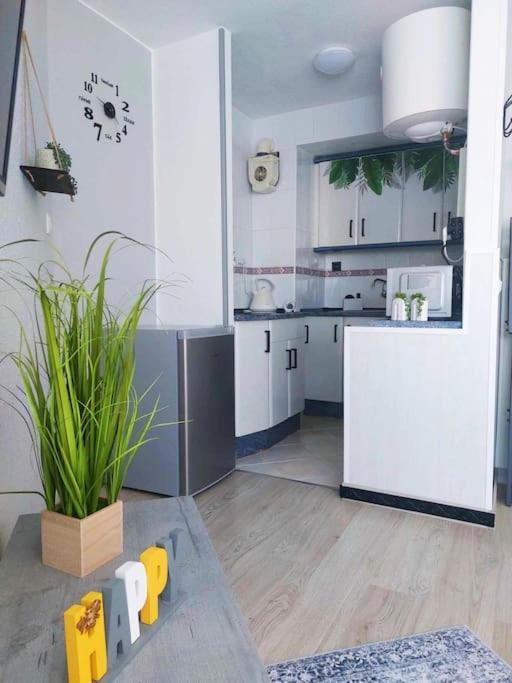 M&G Cozy Studio Apartment -beachfront,WIFI,AirCon,FullyEquipped