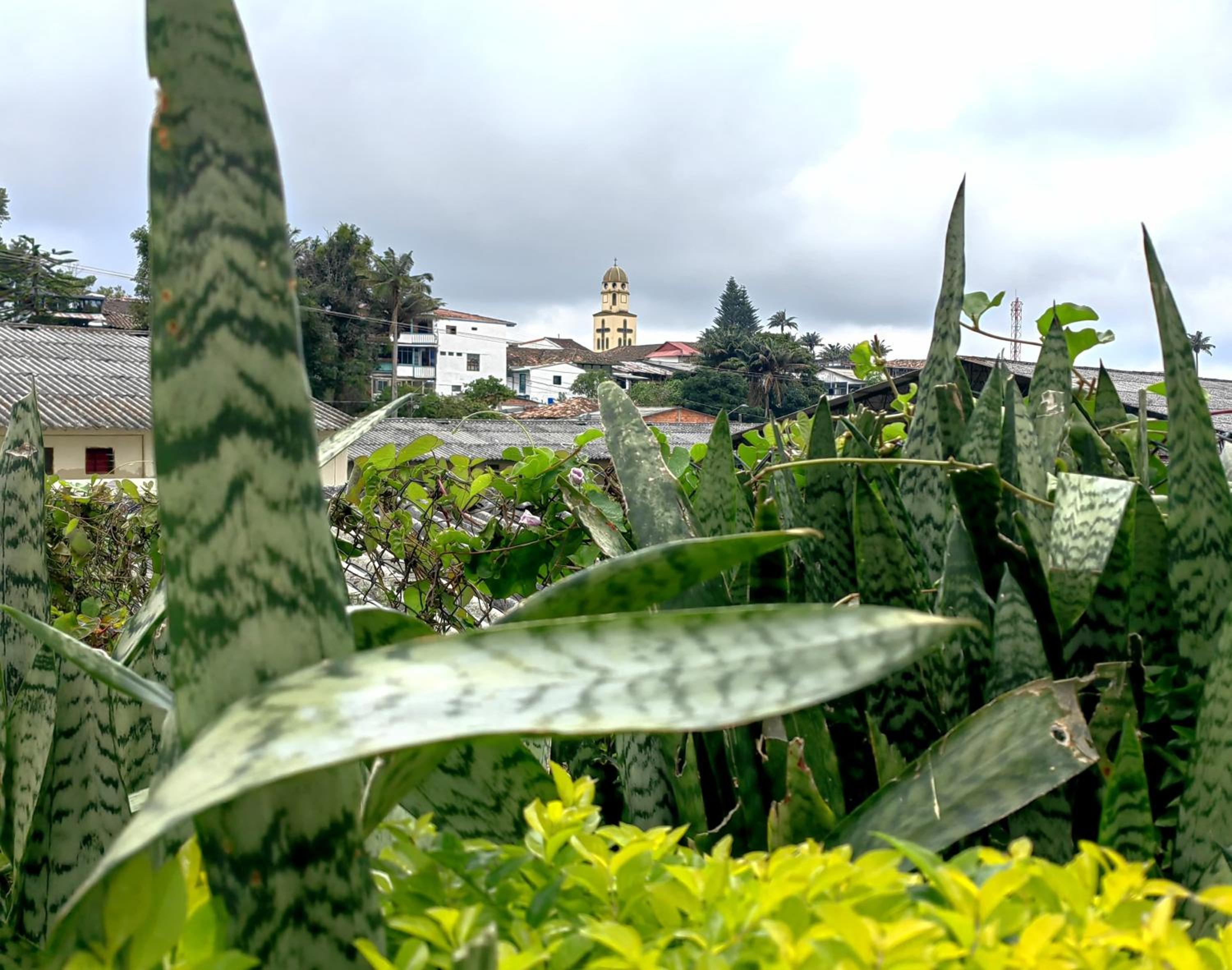 Acogedora casa céntrica