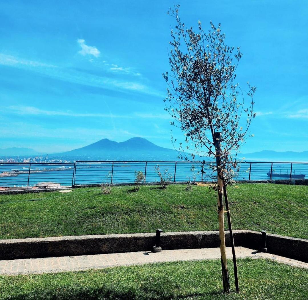 Suite Mirella