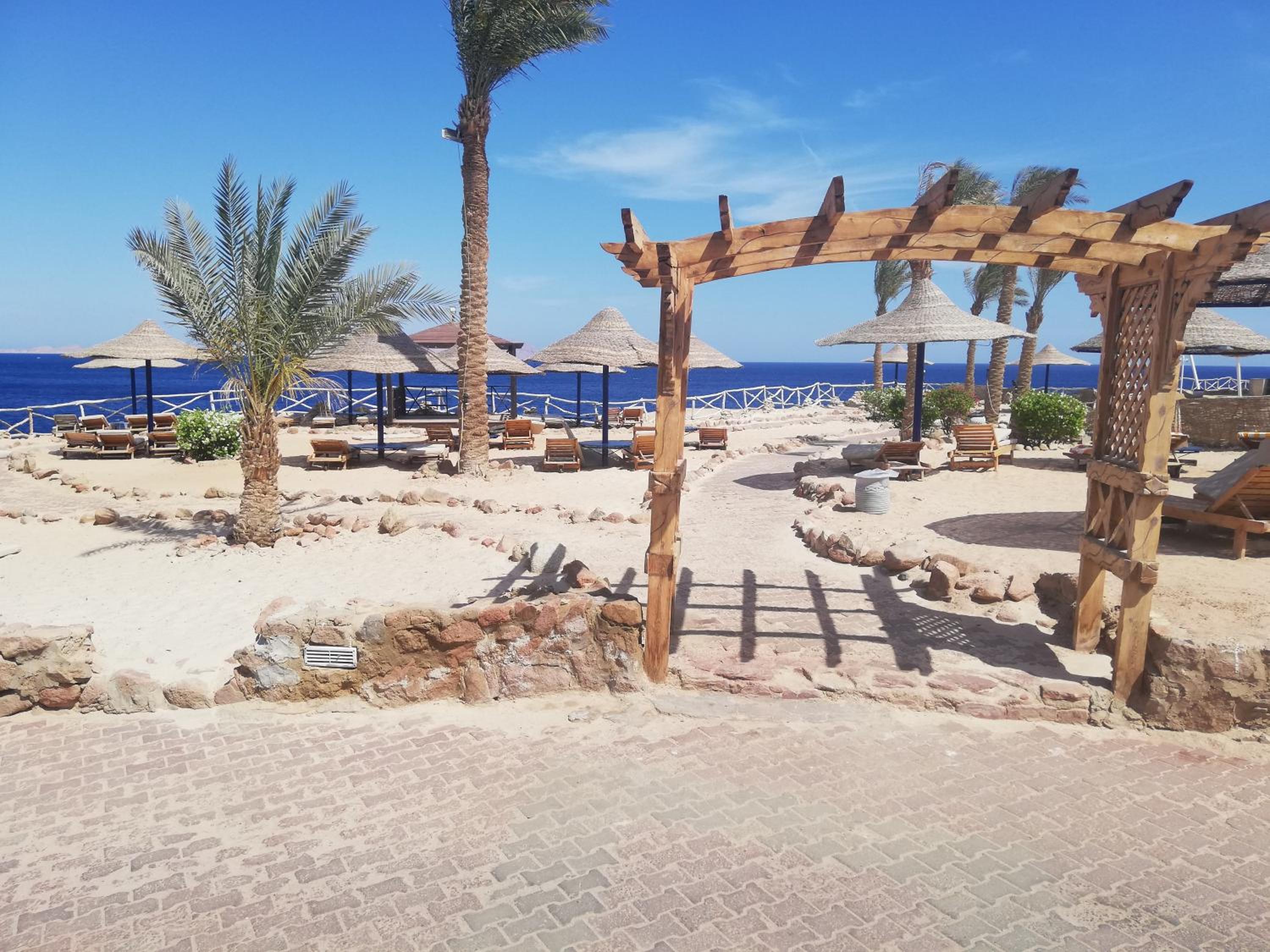 Photo 96