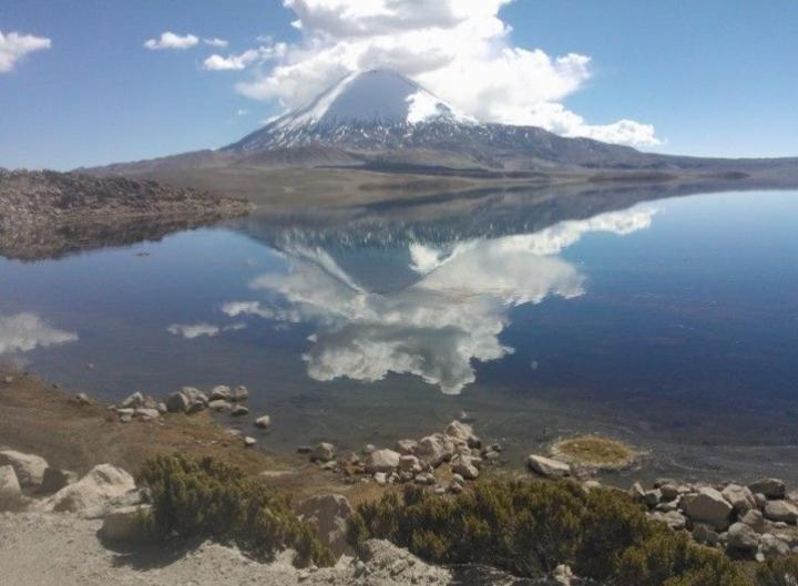 Plaza Codpa Hostel & Restaurant